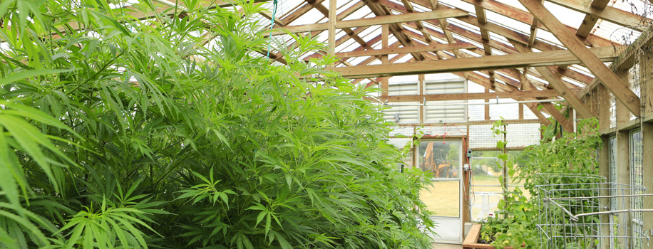 Security Solutions for Apartments in Greenville, SC